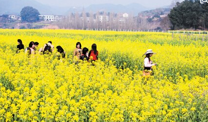 濟南網絡托管公司